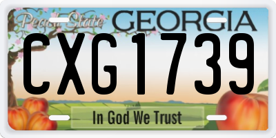 GA license plate CXG1739