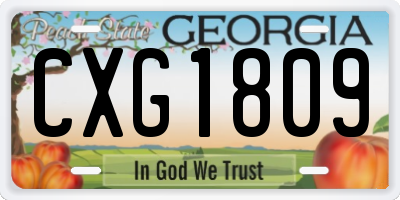 GA license plate CXG1809