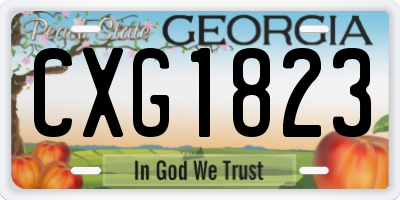 GA license plate CXG1823