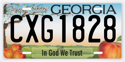 GA license plate CXG1828