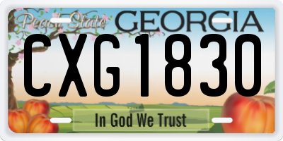 GA license plate CXG1830