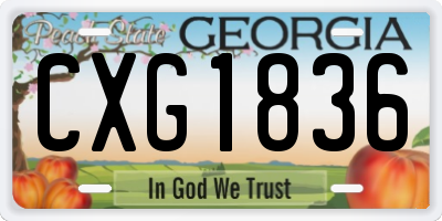 GA license plate CXG1836