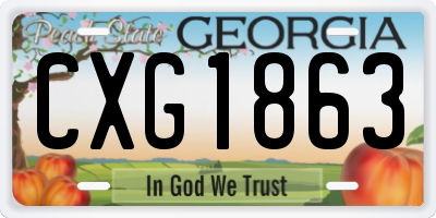 GA license plate CXG1863