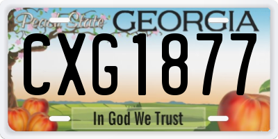 GA license plate CXG1877