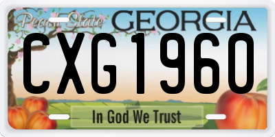 GA license plate CXG1960