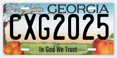 GA license plate CXG2025