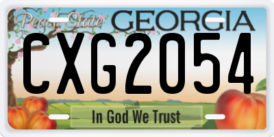 GA license plate CXG2054