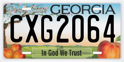 GA license plate CXG2064