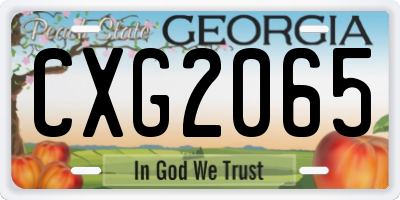 GA license plate CXG2065