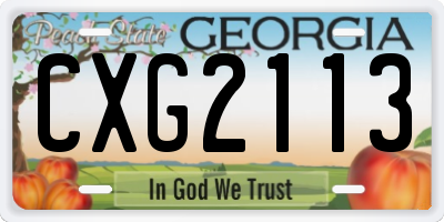 GA license plate CXG2113