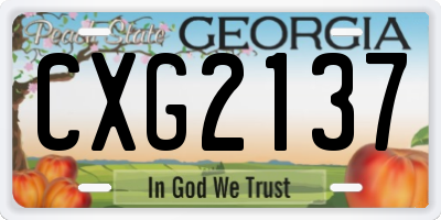 GA license plate CXG2137