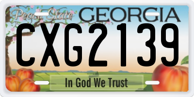 GA license plate CXG2139