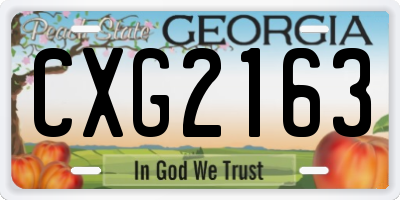 GA license plate CXG2163