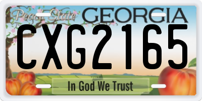 GA license plate CXG2165