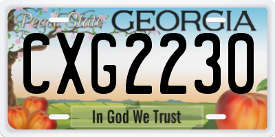 GA license plate CXG2230