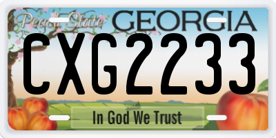 GA license plate CXG2233