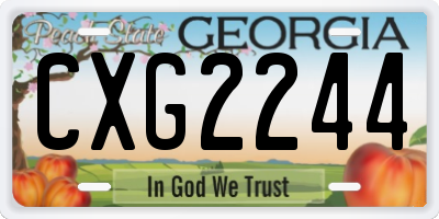 GA license plate CXG2244