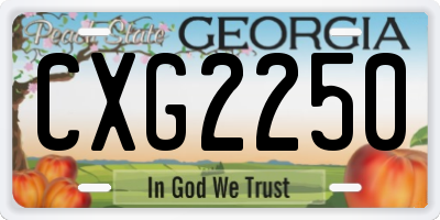 GA license plate CXG2250