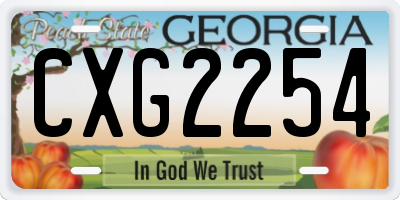 GA license plate CXG2254
