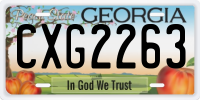 GA license plate CXG2263