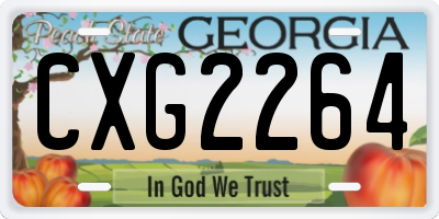 GA license plate CXG2264