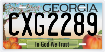 GA license plate CXG2289