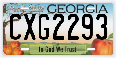 GA license plate CXG2293