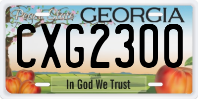 GA license plate CXG2300