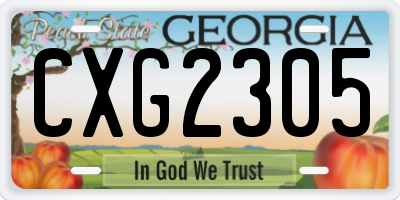GA license plate CXG2305