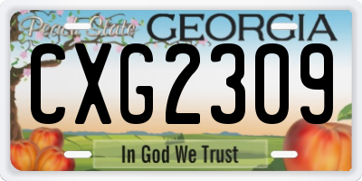 GA license plate CXG2309
