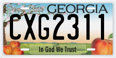 GA license plate CXG2311