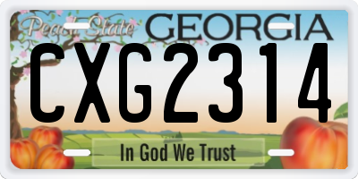 GA license plate CXG2314