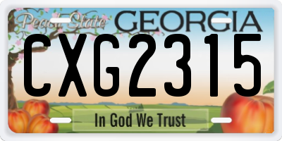 GA license plate CXG2315
