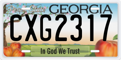 GA license plate CXG2317