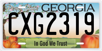 GA license plate CXG2319