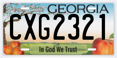 GA license plate CXG2321