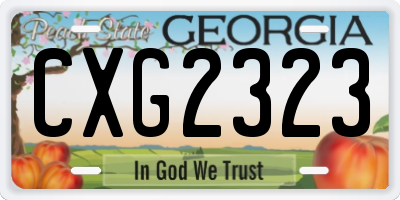 GA license plate CXG2323