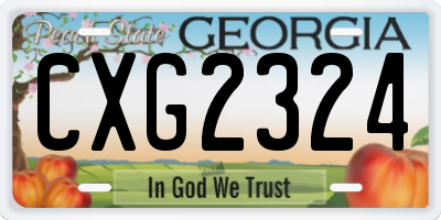 GA license plate CXG2324