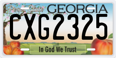 GA license plate CXG2325