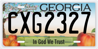 GA license plate CXG2327