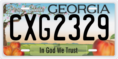 GA license plate CXG2329