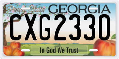 GA license plate CXG2330