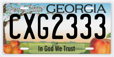 GA license plate CXG2333