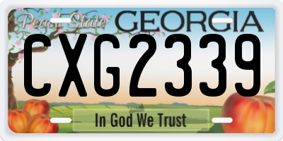 GA license plate CXG2339