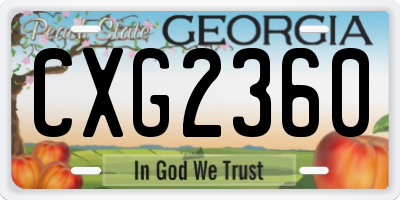 GA license plate CXG2360