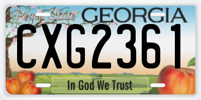GA license plate CXG2361