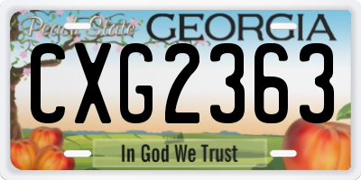 GA license plate CXG2363