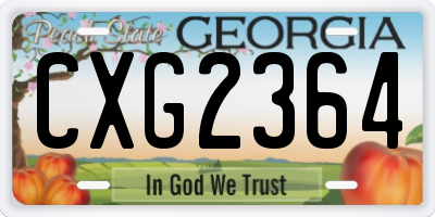 GA license plate CXG2364