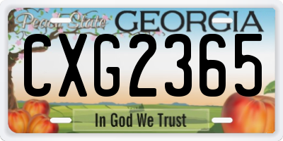 GA license plate CXG2365