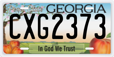 GA license plate CXG2373